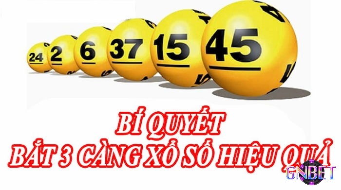 Bí quyết bắt 3 càng hiệu quả nhất Gnbet