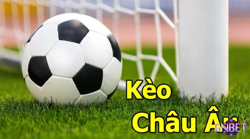 Kèo Châu Âu là gì? chi tiết cách đọc kèo, tính tiền kèo