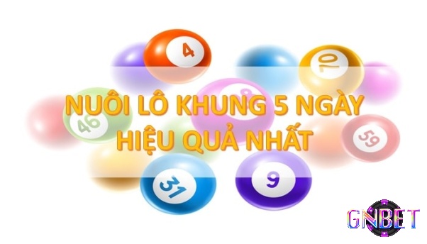 Nuôi khung trong 5 ngày phù hợp khi đánh theo dàn