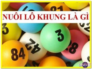 Nuôi lô khung là gì? Hướng dẫn nuôi hiệu quả, miễn phí