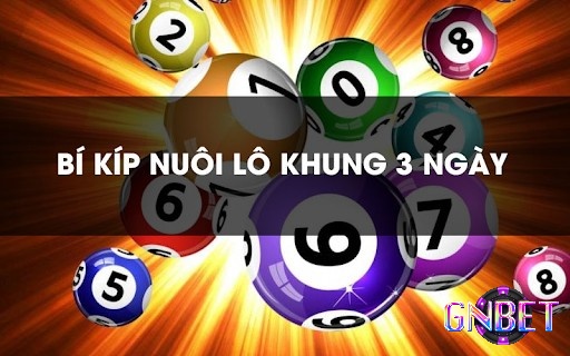 Nuôi lô khung 3 ngày đem lại hiệu quả cao