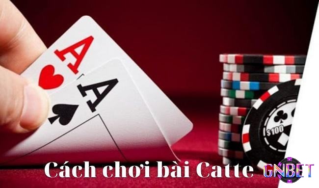 Cách chơi bài Catte hoàn chỉnh nhất