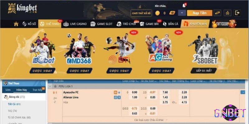 Thể thao đa dạng kèo cược tại Kingbet