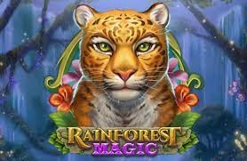 Rainforest Magic - phiêu lưu rừng nhiệt đới xanh tươi trên cuộn