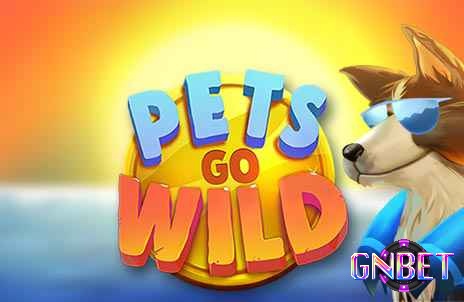 RTP Pets go Wild Hot là 95,04%